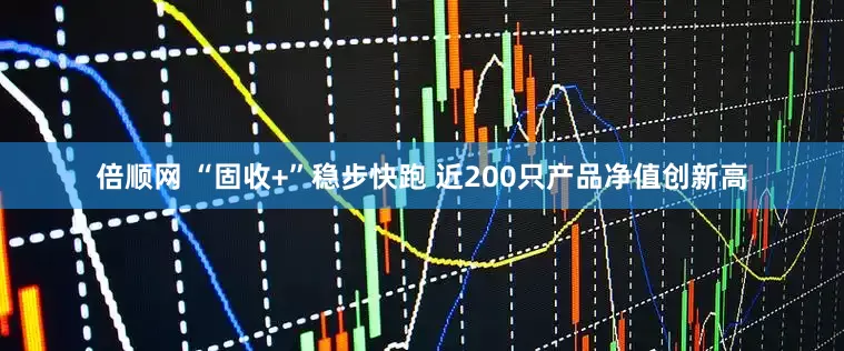 倍顺网 “固收+”稳步快跑 近200只产品净值创新高