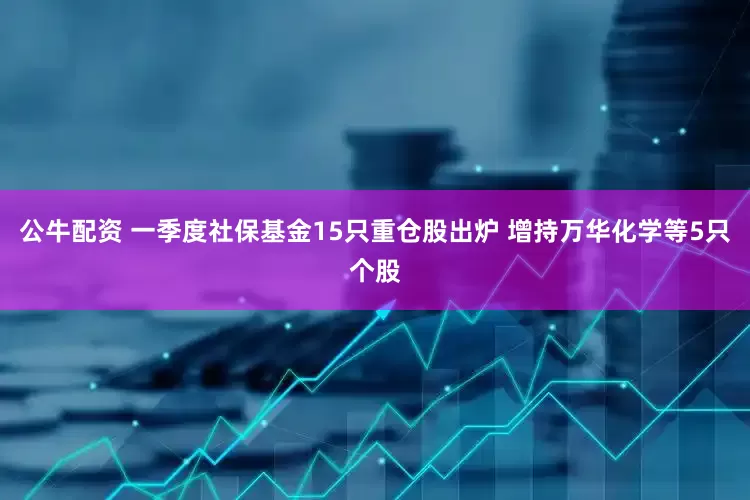 公牛配资 一季度社保基金15只重仓股出炉 增持万华化学等5只个股
